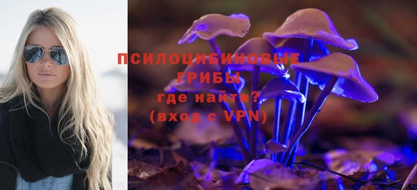 ALPHA PVP Покров