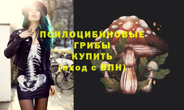 spice Вязники