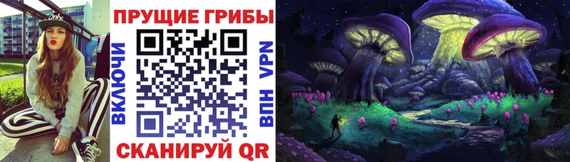 Псилоцибиновые грибы Magic Shrooms  Муром 